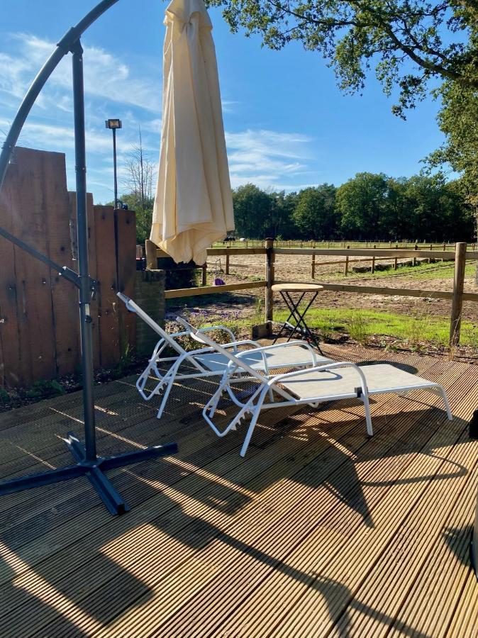 Luxe Finse Kota Met Jacuzzi En Saunabarrel De Zandhoef 일서 외부 사진